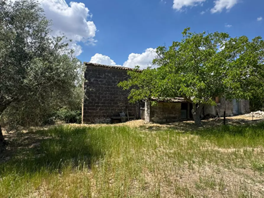 Immagine 65 di Casa indipendente in vendita  a Modica