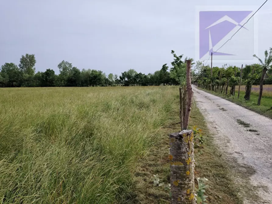 Immagine 1 di Terreno in vendita  a Trebaseleghe