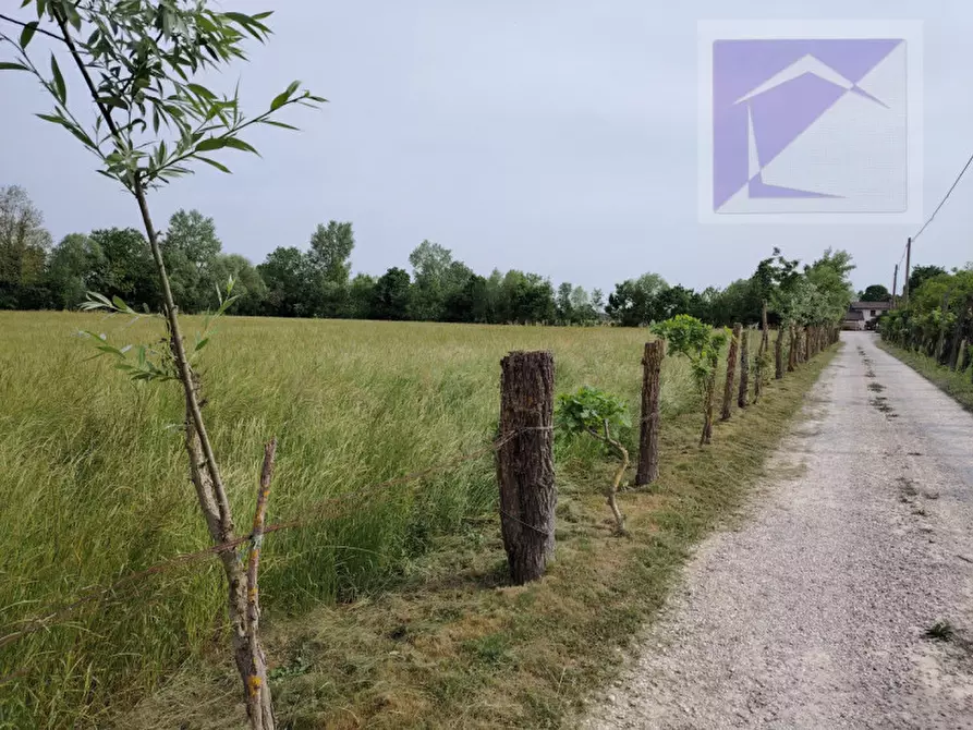Immagine 3 di Terreno in vendita  a Trebaseleghe