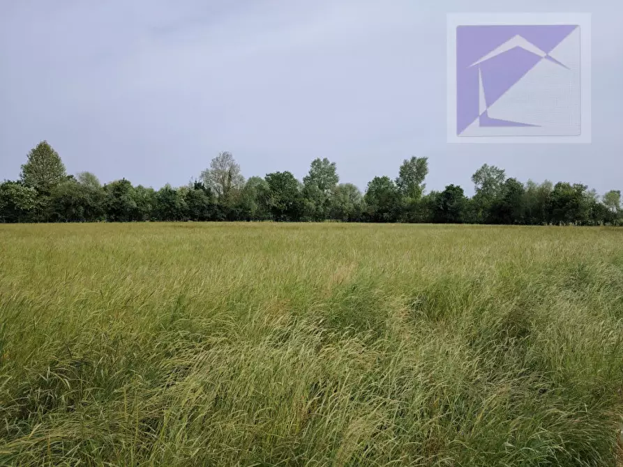 Immagine 4 di Terreno in vendita  a Trebaseleghe