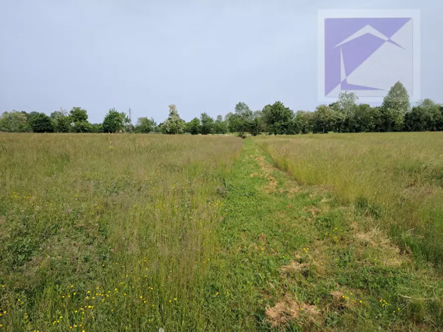 Immagine 8 di Terreno in vendita  a Trebaseleghe