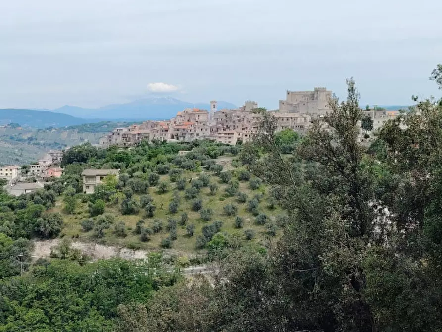 Immagine 17 di Appartamento in vendita  a Nerola