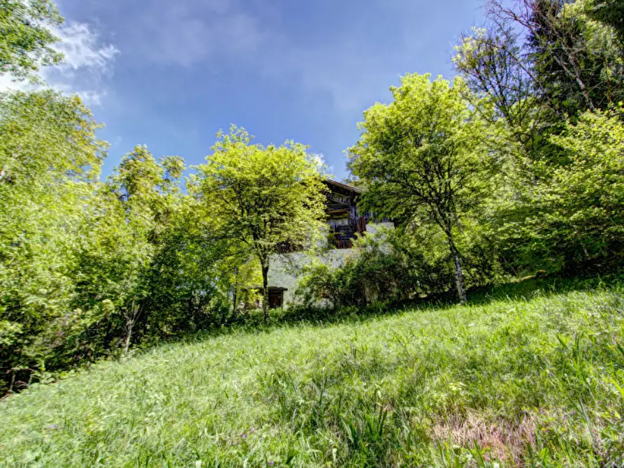 Immagine 5 di Rustico / casale in vendita  in località Brio a Bocenago