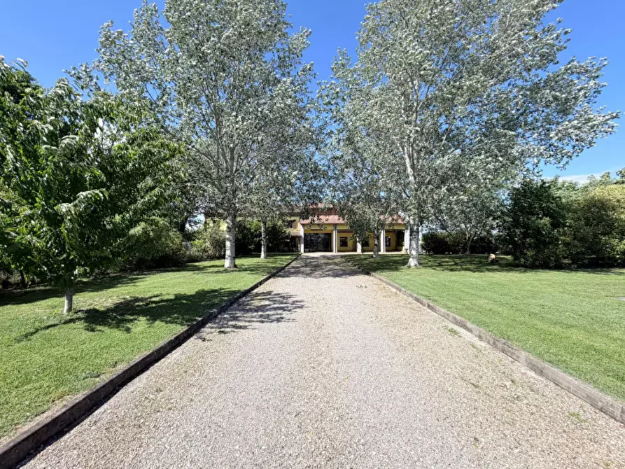 Immagine 7 di Casa indipendente in vendita  in Strada del Bersagneto a Sorbolo Mezzani