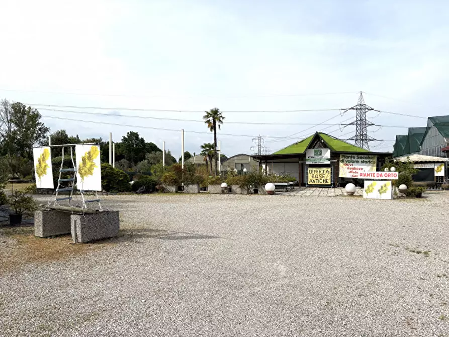 Immagine 2 di Terreno in vendita  in via Piovese 11/A Legnaro a Legnaro
