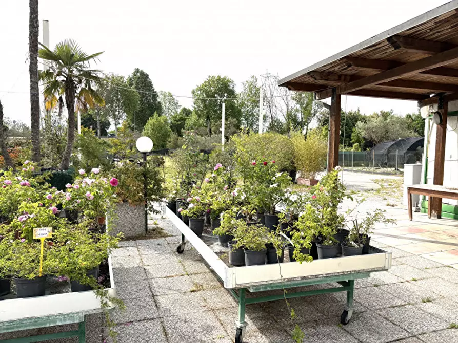 Immagine 4 di Terreno in vendita  in via Piovese 11/A Legnaro a Legnaro