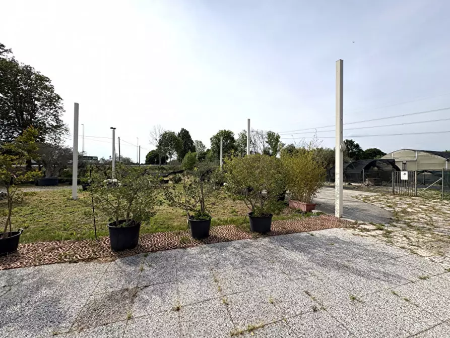 Immagine 5 di Terreno in vendita  in via Piovese 11/A Legnaro a Legnaro