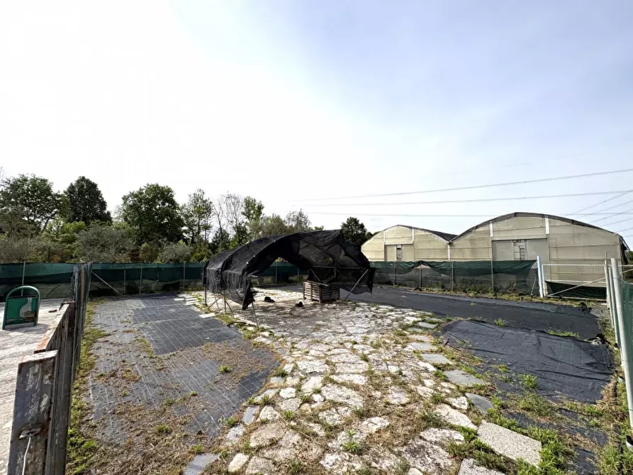 Immagine 7 di Terreno in vendita  in via Piovese 11/A Legnaro a Legnaro