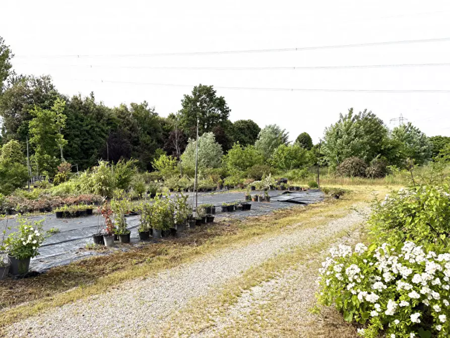 Immagine 10 di Terreno in vendita  in via Piovese 11/A Legnaro a Legnaro