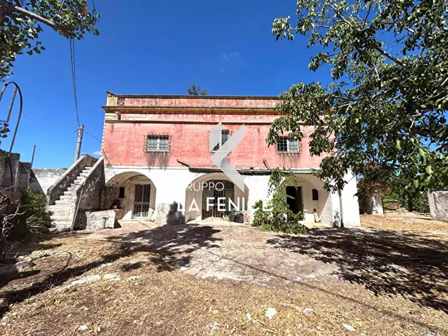 Immagine 9 di Villa in vendita  in contrada Laureto a Fasano