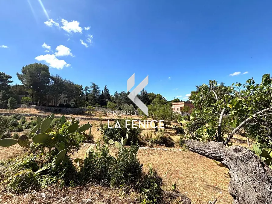 Immagine 58 di Villa in vendita  in contrada Laureto a Fasano