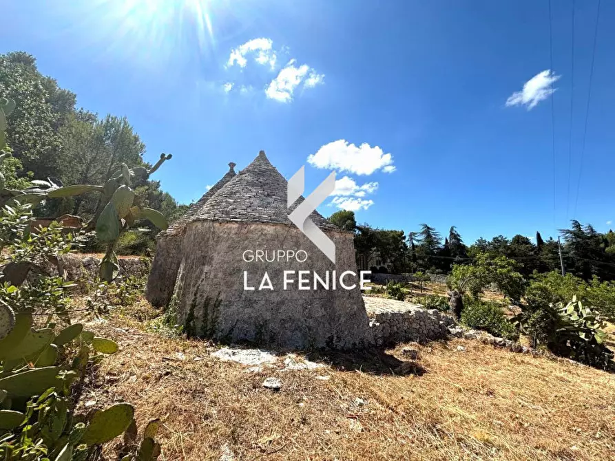 Immagine 61 di Villa in vendita  in contrada Laureto a Fasano
