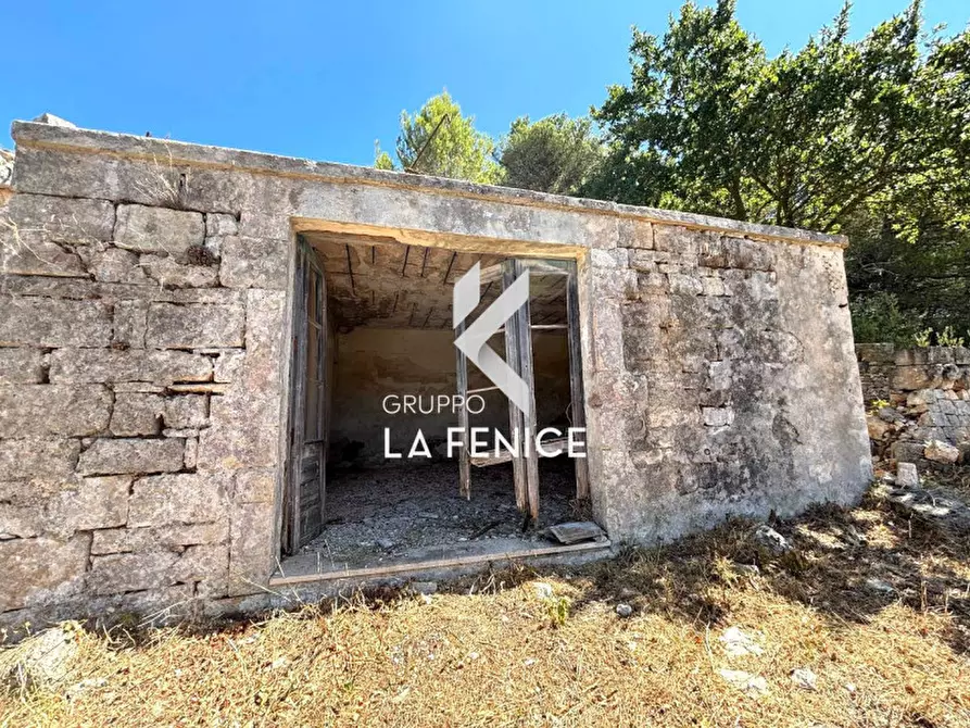 Immagine 63 di Villa in vendita  in contrada Laureto a Fasano