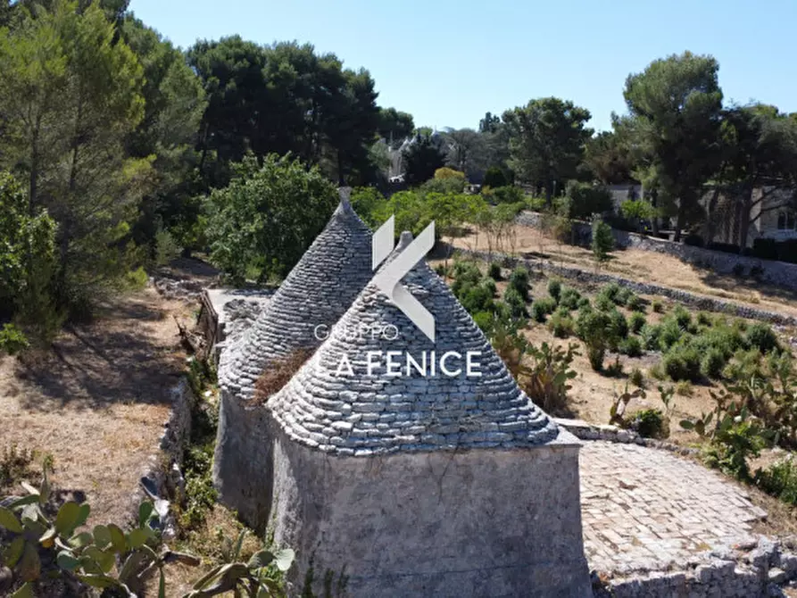 Immagine 72 di Villa in vendita  in contrada Laureto a Fasano