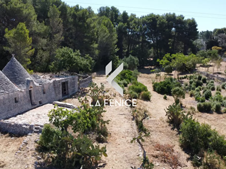 Immagine 74 di Villa in vendita  in contrada Laureto a Fasano
