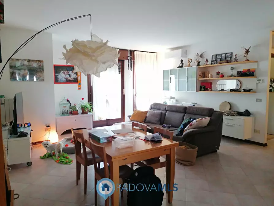 Immagine 3 di Appartamento in vendita  in Via San Martino a Vigodarzere