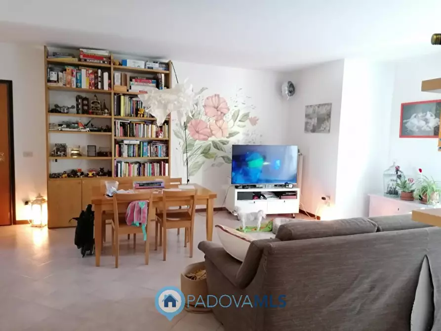 Immagine 4 di Appartamento in vendita  in Via San Martino a Vigodarzere