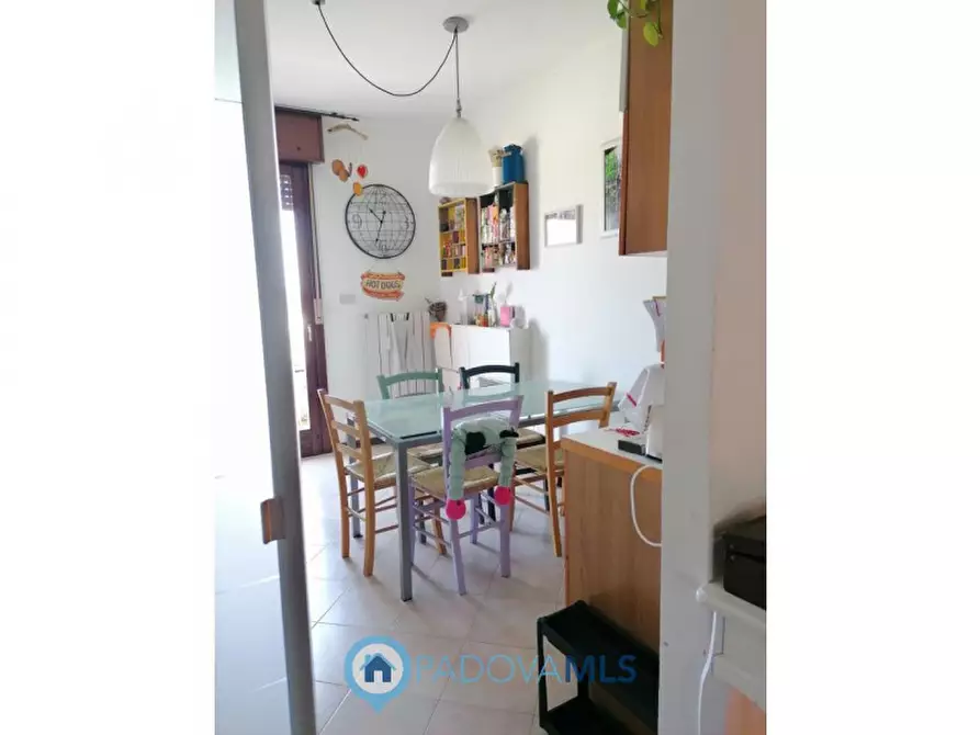 Immagine 5 di Appartamento in vendita  in Via San Martino a Vigodarzere