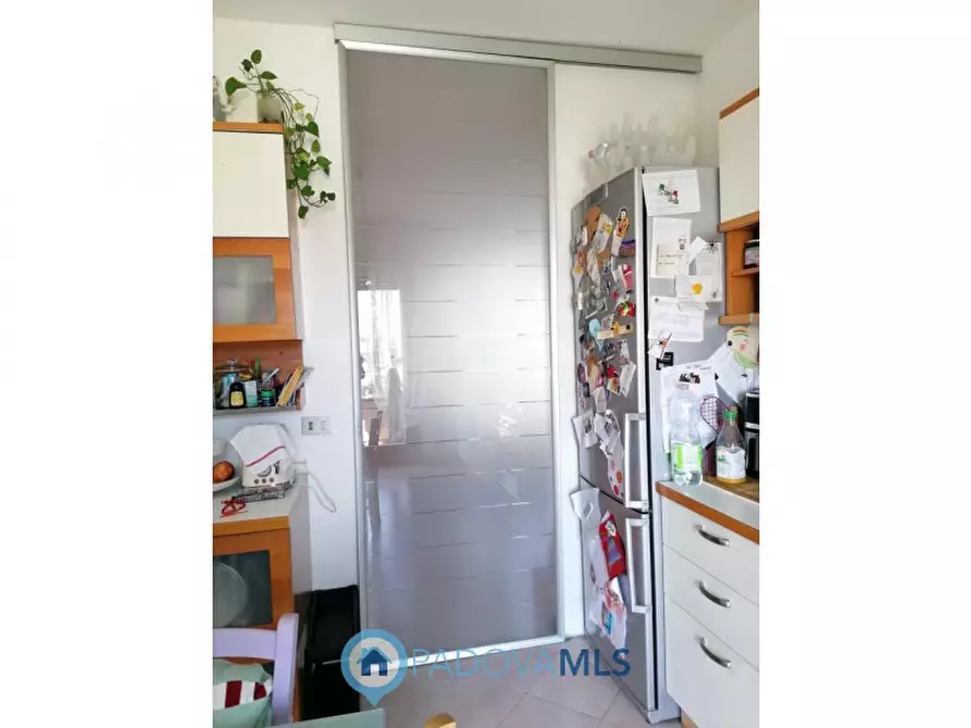Immagine 7 di Appartamento in vendita  in Via San Martino a Vigodarzere