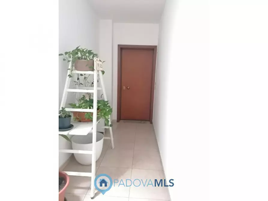 Immagine 22 di Appartamento in vendita  in Via San Martino a Vigodarzere