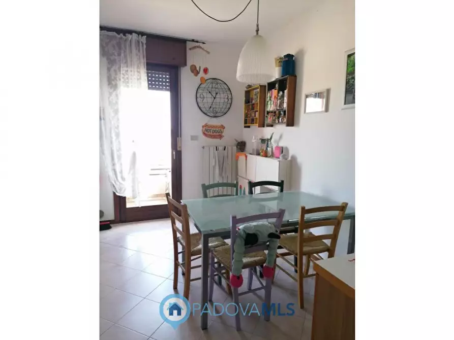 Immagine 26 di Appartamento in vendita  in Via San Martino a Vigodarzere