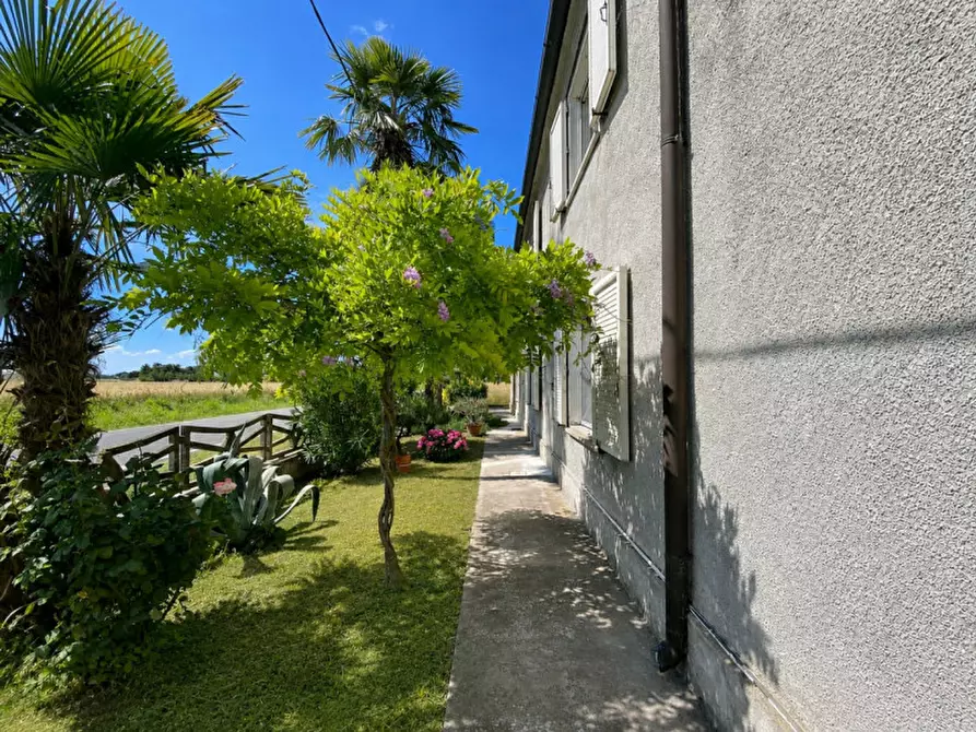 Immagine 3 di Casa indipendente in vendita  in Via Sfondrabo' a Migliaro