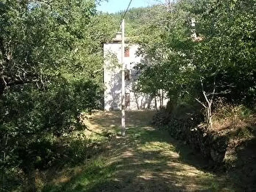 Immagine 1 di Casa indipendente in vendita  in Strada in Casentino a Castel San Niccolò