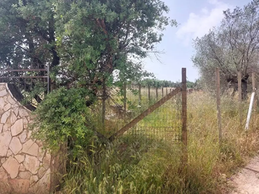 Immagine 6 di Terreno in vendita  in Galese Martelluzzo, 93015 Niscemi CL, Italia a Niscemi