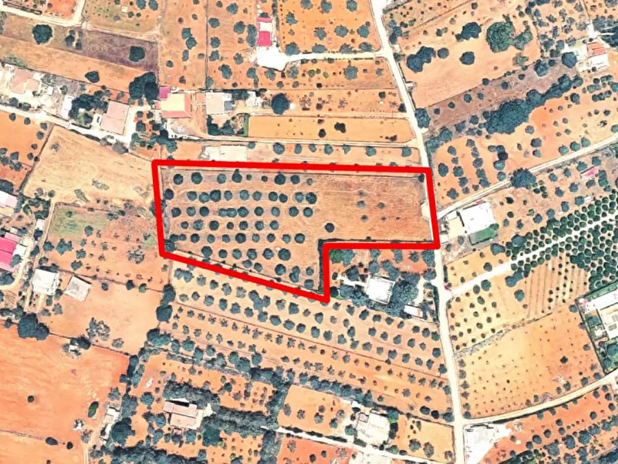 Immagine 11 di Terreno in vendita  in Galese Martelluzzo, 93015 Niscemi CL, Italia a Niscemi