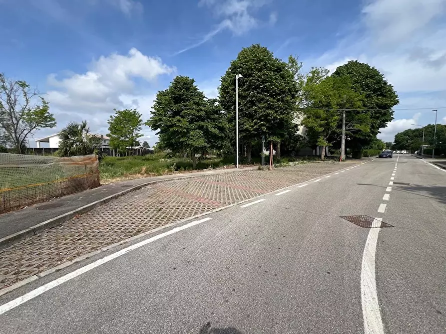 Immagine 11 di Terreno in vendita  a Piove Di Sacco