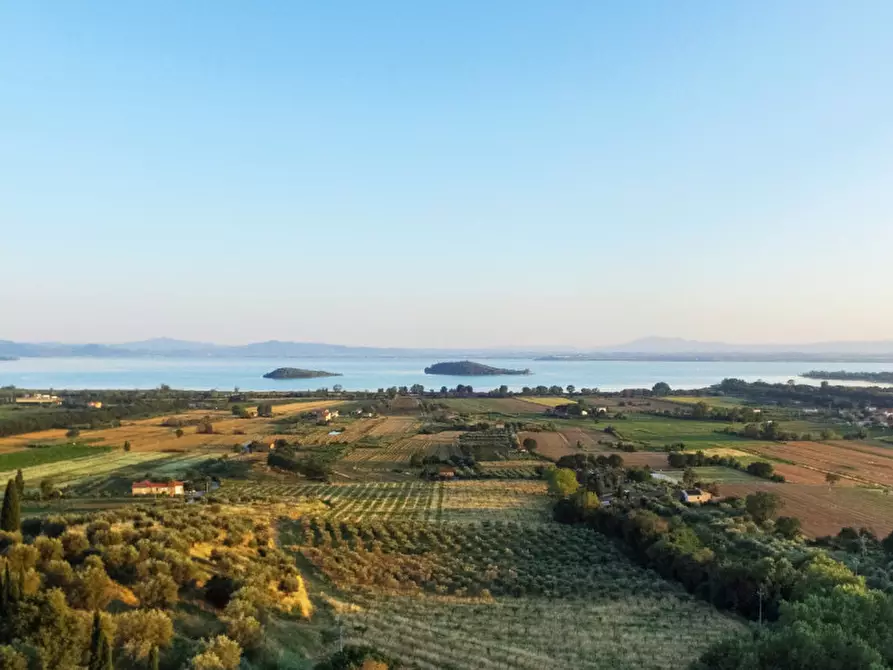 Immagine 2 di Agriturismo in vendita  a Passignano Sul Trasimeno