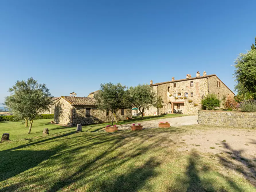 Immagine 4 di Agriturismo in vendita  a Passignano Sul Trasimeno