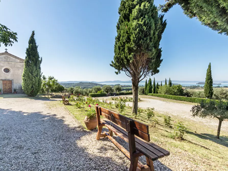 Immagine 5 di Agriturismo in vendita  a Passignano Sul Trasimeno