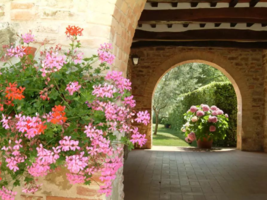 Immagine 7 di Agriturismo in vendita  a Passignano Sul Trasimeno