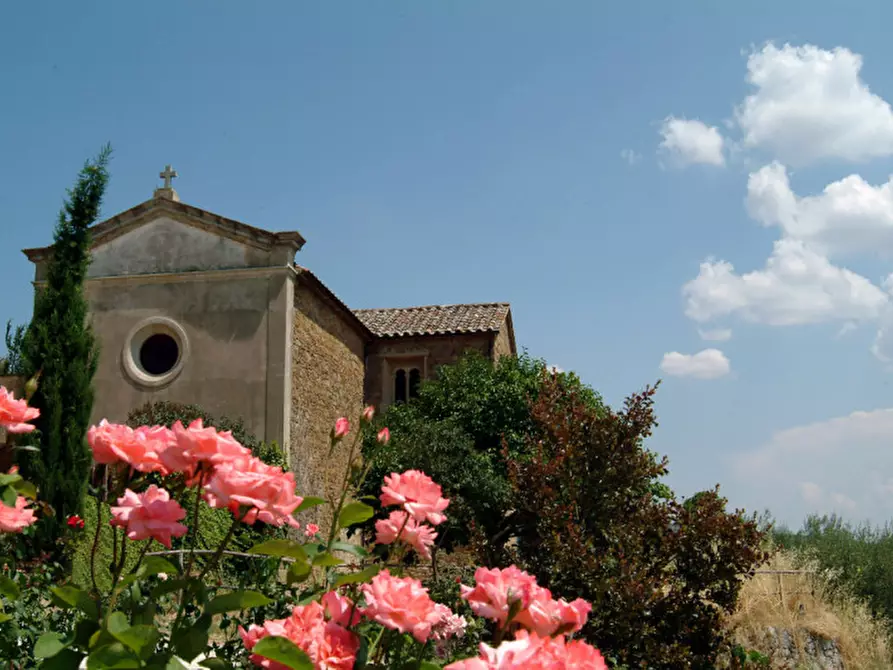 Immagine 9 di Agriturismo in vendita  a Passignano Sul Trasimeno