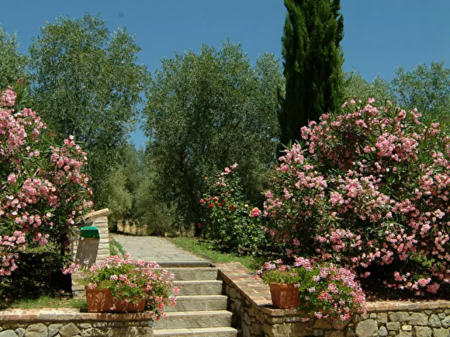 Immagine 10 di Agriturismo in vendita  a Passignano Sul Trasimeno