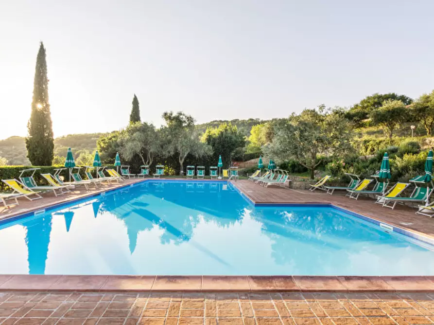 Immagine 11 di Agriturismo in vendita  a Passignano Sul Trasimeno