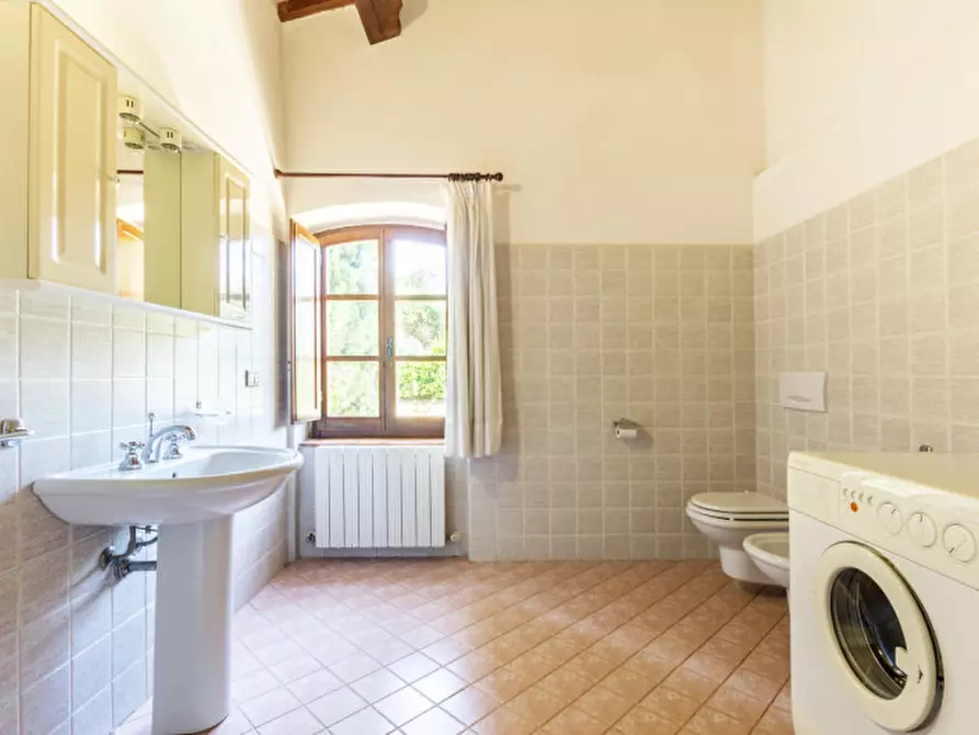 Immagine 17 di Agriturismo in vendita  a Passignano Sul Trasimeno