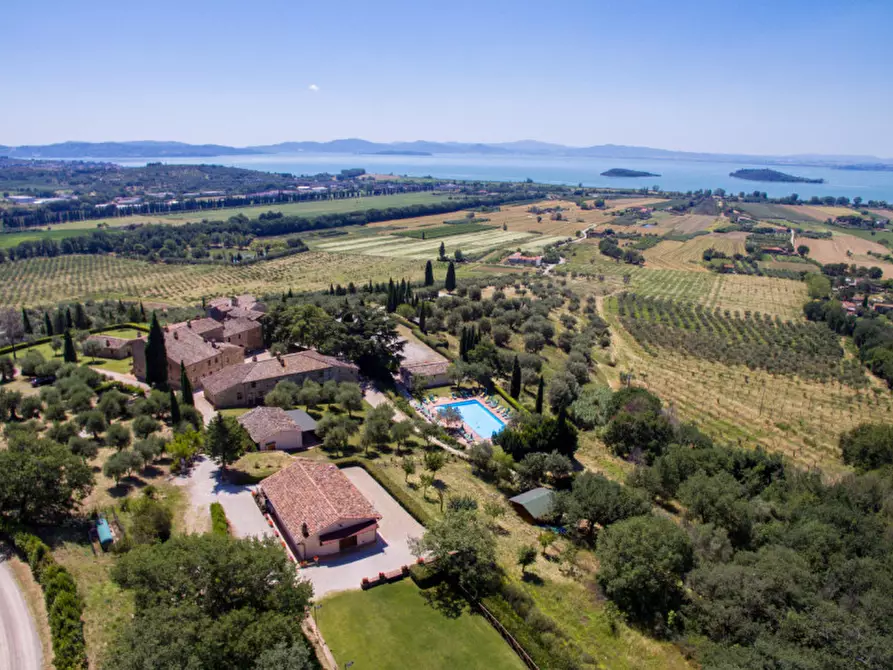 Immagine 28 di Agriturismo in vendita  a Passignano Sul Trasimeno