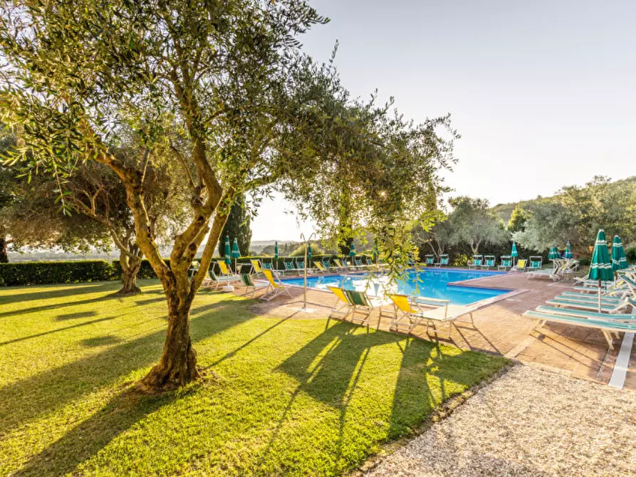 Immagine 29 di Agriturismo in vendita  a Passignano Sul Trasimeno
