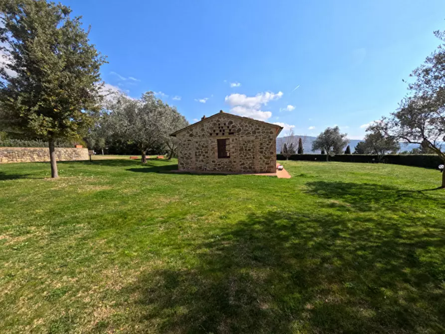 Immagine 32 di Agriturismo in vendita  a Passignano Sul Trasimeno
