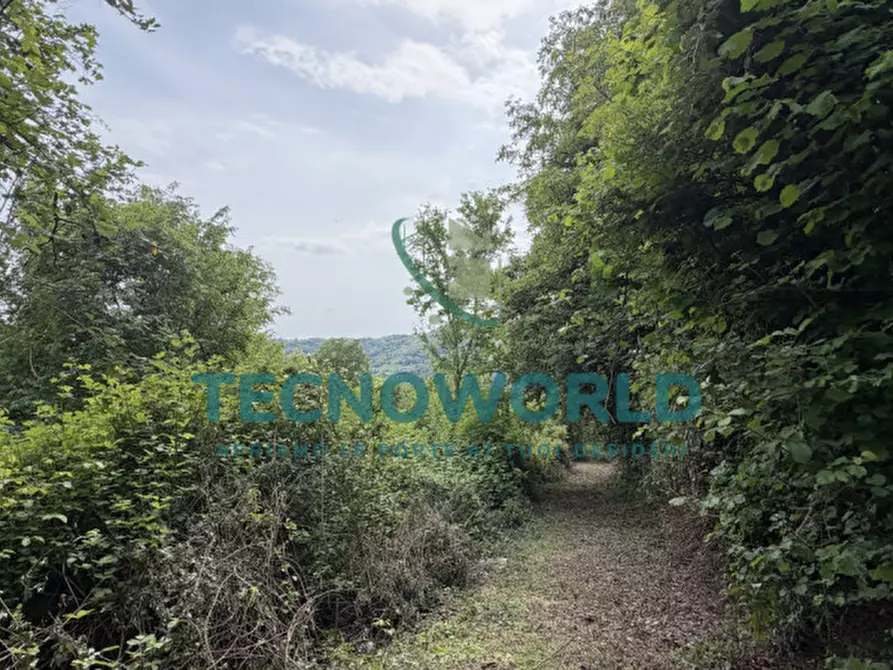 Immagine 10 di Rustico / casale in vendita  in Via Maso a Calvene