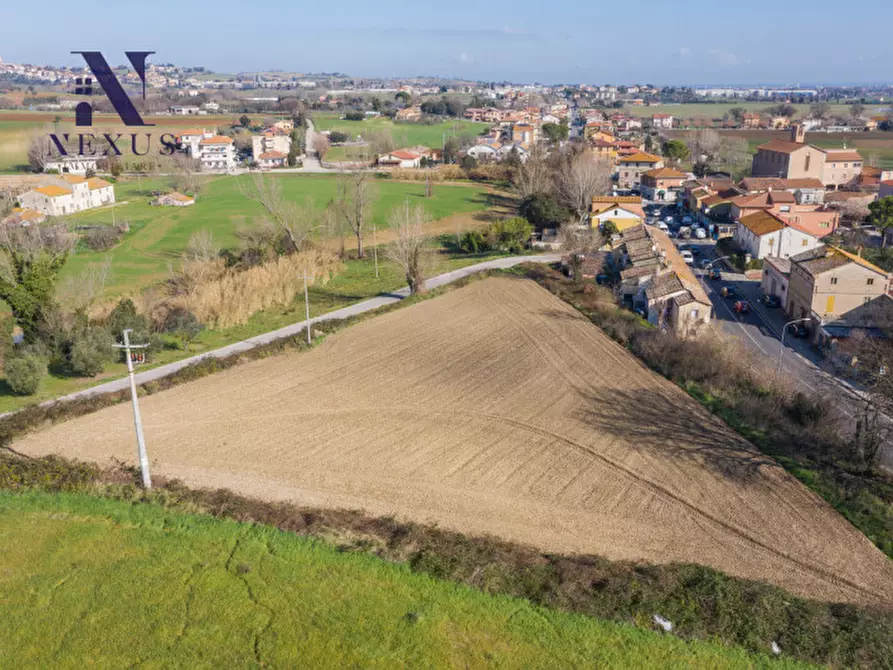 Immagine 1 di Terreno in vendita  in Via Santo Stefano a Trecastelli
