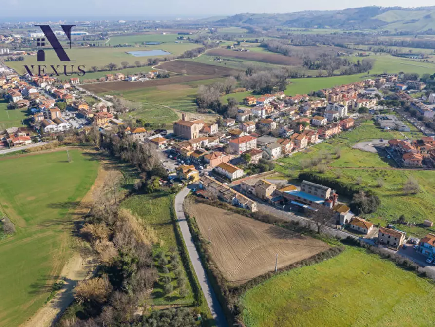 Immagine 3 di Terreno in vendita  in Via Santo Stefano a Trecastelli