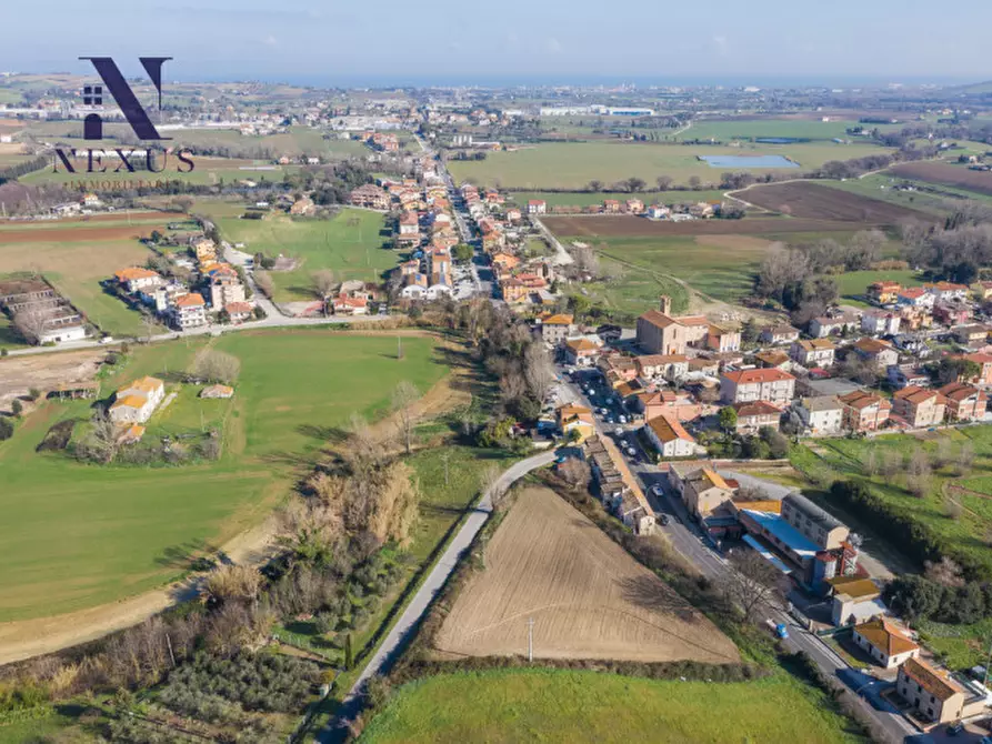 Immagine 4 di Terreno in vendita  in Via Santo Stefano a Trecastelli