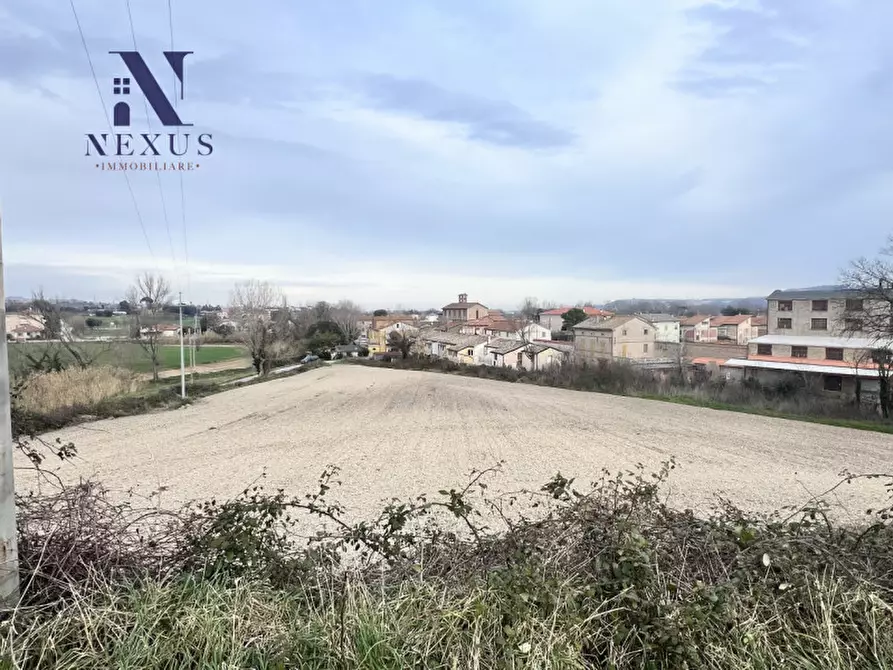 Immagine 5 di Terreno in vendita  in Via Santo Stefano a Trecastelli
