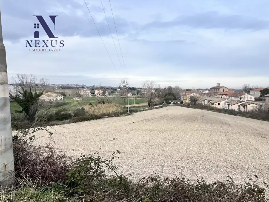 Immagine 6 di Terreno in vendita  in Via Santo Stefano a Trecastelli