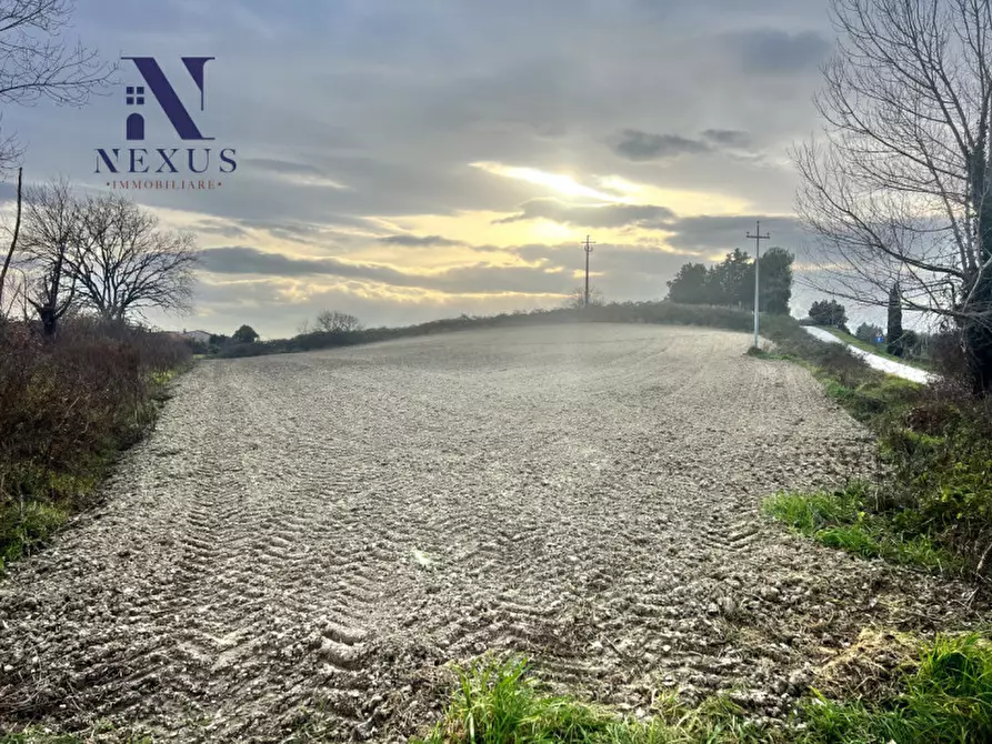 Immagine 7 di Terreno in vendita  in Via Santo Stefano a Trecastelli