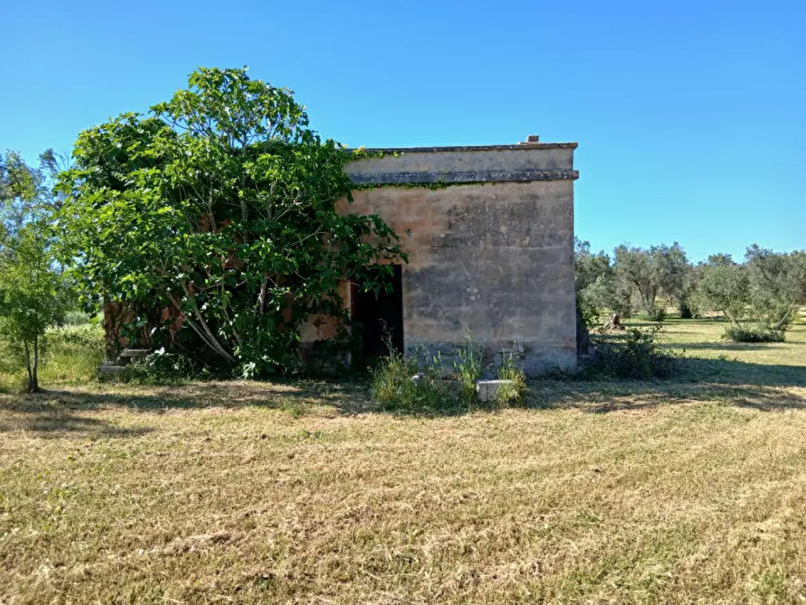 Immagine 1 di Rustico / casale in vendita  in C.da Grottole a Latiano