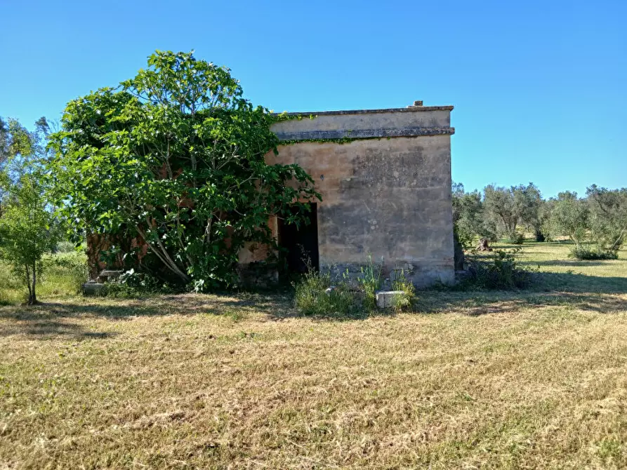 Immagine 2 di Rustico / casale in vendita  in C.da Grottole a Latiano